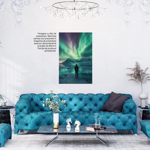 Bărbat Singuratic la Polul Nord - Culorile Cerului, Marime 40x25CM [3]