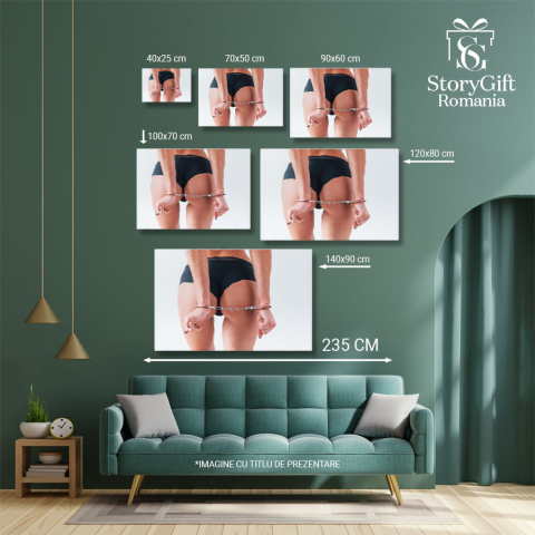 Tablou Canvas: BDSM: in Lumea Fanteziilor si Dorintelor Ascunse 40x25CM [4]