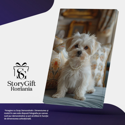 Tablou Canvas Bichon cu perle la gât și ochii ca mărgelele- Câine între perne pe fotoliu albastru , Pictura Digitala 40x25CM [4]