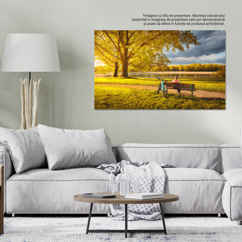 Tablou Canvas Bicicleta în Toamnă: Relaxare la Lacul de Parc, Marime 40x25CM [2]