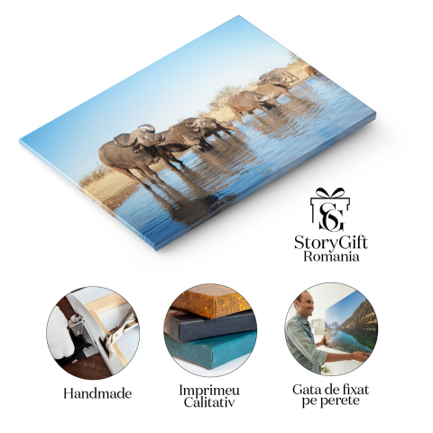 Tablou Canvas: Bivoli de apa domestic In Natura 40x25CM [1]