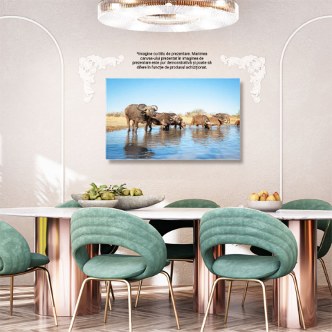 Tablou Canvas: Bivoli de apa domestic In Natura 40x25CM [2]