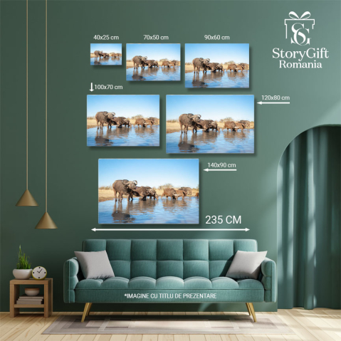 Tablou Canvas: Bivoli de apa domestic In Natura 40x25CM [4]