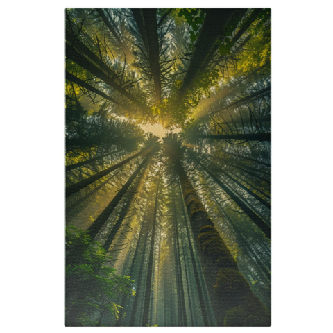 Păduri - Tablou Canvas:  Cadru Frumos, Verde cu Trunchiuri de Copaci în Pădure și Lumina Soarelui- Natură Verde Pictura Digitala 40x25CM