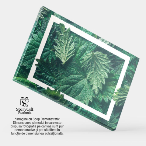 Tablou Canvas: Cadru Natural - Un sablon Decorativ cu Frunze si Ierburi 40x25CM [3]