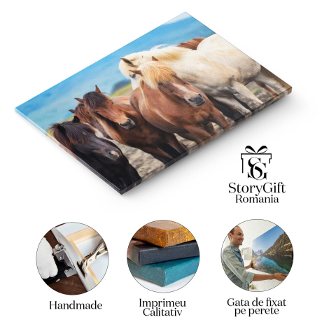 Tablou Canvas Cai salbatici in Islanda, Frumusetea Naturii, cai, natura, Islanda, grup 2411 40x25CM [1]