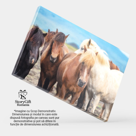 Tablou Canvas Cai salbatici in Islanda, Frumusetea Naturii, cai, natura, Islanda, grup 2411 40x25CM [3]