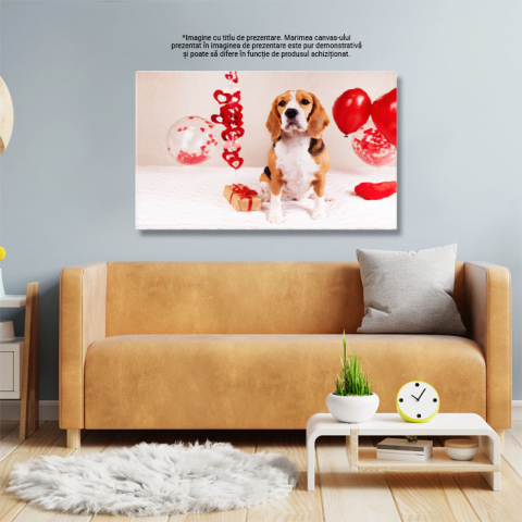 Tablou Canvas Cainele Beagle sta pe pat acoperit cu o patura, caine, Beagle, iubire, prezent, inima 4478 40x25CM [2]