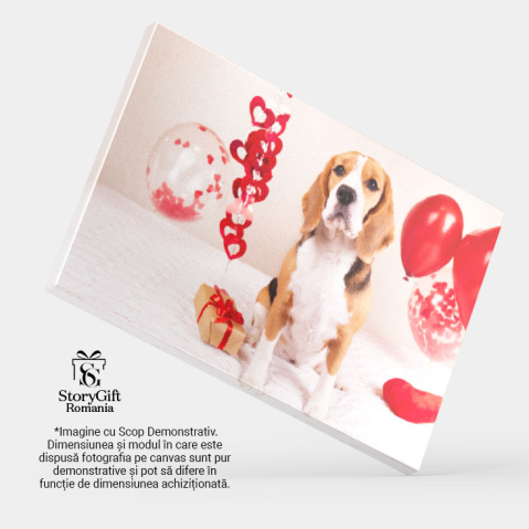 Tablou Canvas Cainele Beagle sta pe pat acoperit cu o patura, caine, Beagle, iubire, prezent, inima 4478 40x25CM [3]