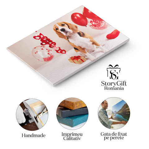 Tablou Canvas Cainele Beagle sta pe pat acoperit cu o patura, caine, Beagle, iubire, prezent, inima 4478 40x25CM [1]