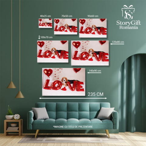 Tablou Canvas Cainele Beagle sta pe pat intr-o camera decorata, caine, Beagle, iubire, prezent, inima 4475 40x25CM [4]