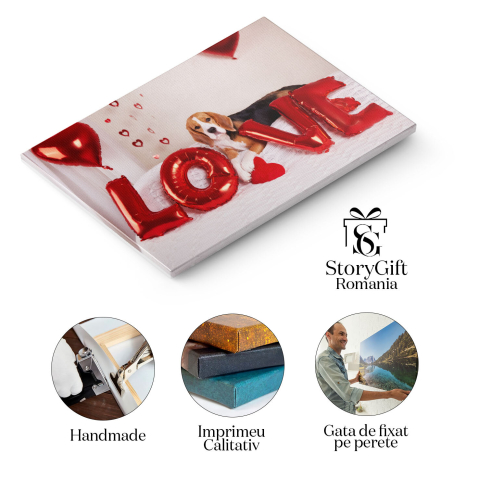 Tablou Canvas Cainele Beagle sta pe pat intr-o camera decorata, caine, Beagle, iubire, prezent, inima 4475 40x25CM [1]