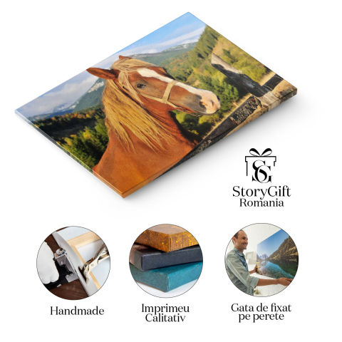 Tablou Canvas - Cal in Carpati: Pasune, Peisaj, Natura, Cer si Nouri 40x25CM [1]