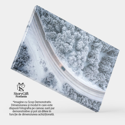 Tablou Canvas Calatorie de Iarna Cu Masina in Munti si Zapada 40x25CM [3]