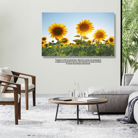 Tablou Canvas Camp de Floarea-soarelui Peisaj, Natura, Vara, Flori. 1950 40x25CM [2]