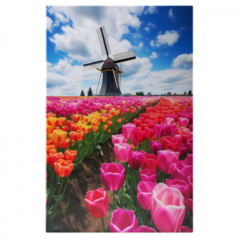 Flori - Câmp de Lalele Colorate și Moara de Vânt - Pictură Digitală, Marime 40x25CM