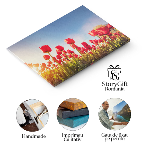 Tablou Canvas Camp de Lalele in Bloom intr-o Zi insorita de Primavara, albastru, natura, agricultura 4843 40x25CM [1]