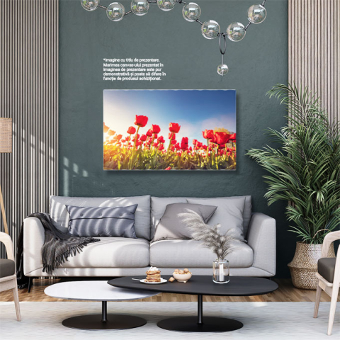 Tablou Canvas Camp de Lalele in Bloom intr-o Zi insorita de Primavara, albastru, natura, agricultura 4843 40x25CM [2]