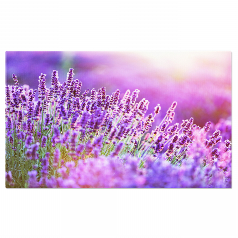 Flori - Camp de Lavandă în Lumina Apusului: Frumusețea Naturii, Marime 40x25CM