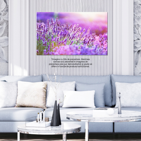 Camp de Lavandă în Lumina Apusului: Frumusețea Naturii, Marime 40x25CM [2]