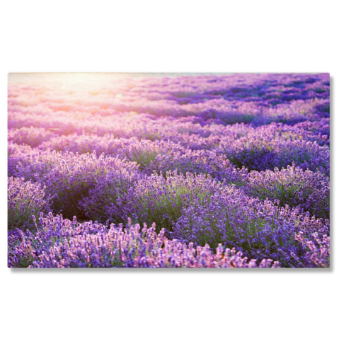 Tablouri Canvas - Tablou Canvas: Camp de Lavanda in Provence - Arome si Lumini 40x25CM