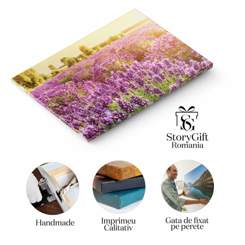 Tablou Canvas: Câmp de Lavandă în Provence - Flori Aromatice, Marime 40x25CM [1]