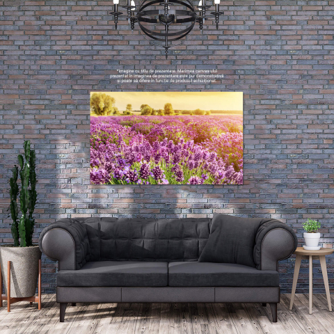 Tablou Canvas: Câmp de Lavandă în Provence - Flori Aromatice, Marime 40x25CM [2]