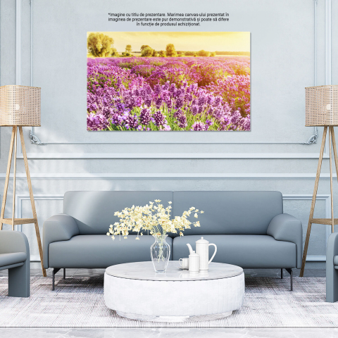 Tablou Canvas: Câmp de Lavandă în Provence - Flori Aromatice, Marime 40x25CM [3]