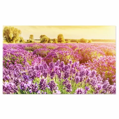 Tablou Canvas: Câmp de Lavandă în Provence - Flori Aromatice, Marime 40x25CM