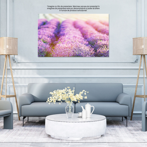 Tablou Canvas: Câmp de Lavandă în Provence - Tradiții și Culoare, Marime 40x25CM [3]