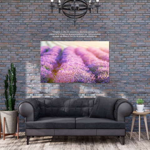 Tablou Canvas: Câmp de Lavandă în Provence - Tradiții și Culoare, Marime 40x25CM [2]