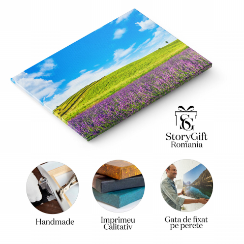 Camp de Lavandă în Toscana: Flori și Aromaterapie, Marime 40x25CM [1]