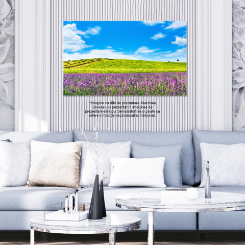 Camp de Lavandă în Toscana: Flori și Aromaterapie, Marime 40x25CM [2]