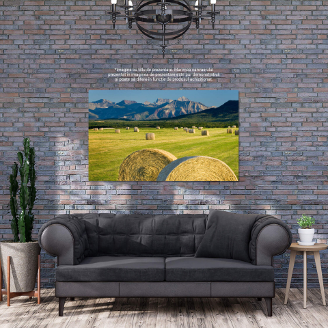 Tablou Canvas: Câmpie în Alberta, Canada - Agricultura și Peisajul Montan, Marime 40x25CM [2]