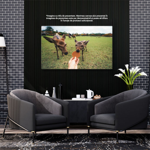 Tablou Canvas Cerbi si Fauna in Parcul Nara, Kyoto, Japonia Nara, animale, bambi, parcul Nara, Kyoto 1618 40x25CM [2]