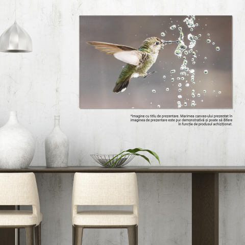 Tablou Canvas Colibri Anna, mascul, joaca cu fantana, baut, natura, pene vibrante, mic 70x50CM [2]