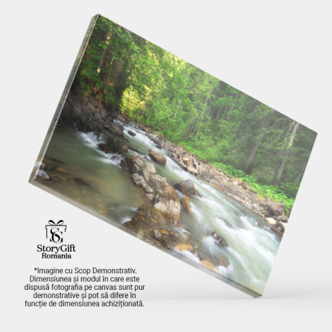 Tablou Canvas Compozitie a Naturii Padure, Verde, Peisaj, Rau, Canion 1423 40x25CM [3]