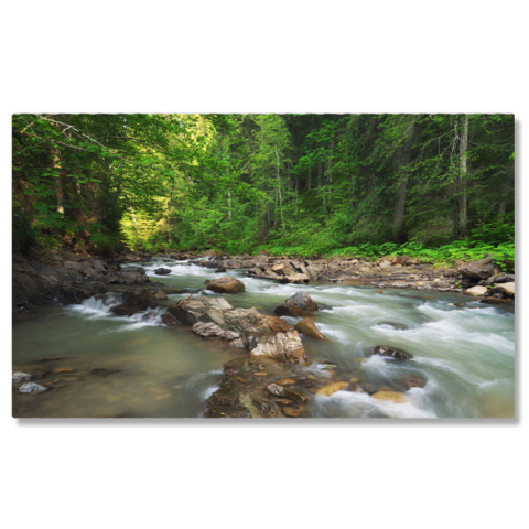 Oraș - Tablou Canvas Compozitie a Naturii Padure, Verde, Peisaj, Rau, Canion 1423 40x25CM