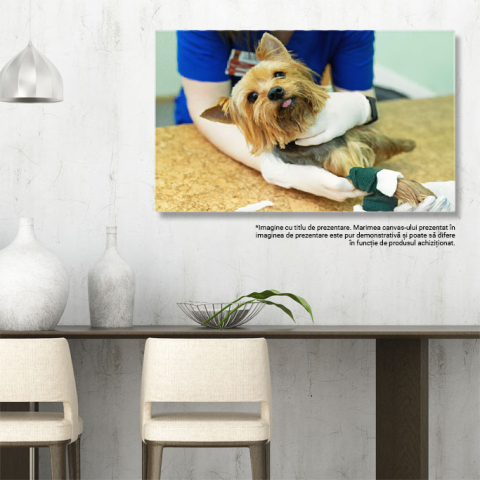 Tablou Canvas: Consultatie la Clinica - Sanatate si Medicina 40x25CM [2]