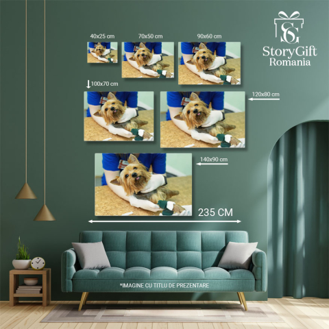 Tablou Canvas: Consultatie la Clinica - Sanatate si Medicina 40x25CM [4]