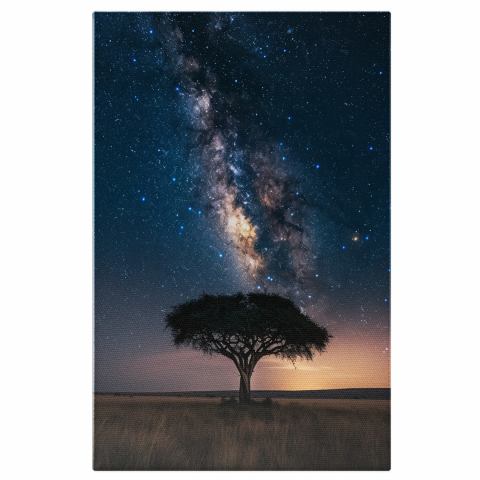 Calea Lactee - Tabloul canvas cu copacul cu trunchiul împletit la venirea nopții, Marime 40x25CM