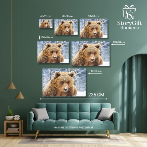 Tablou Canvas - Creatura Padurii, Urs Brun si Frigul Arctic 40x25CM [4]