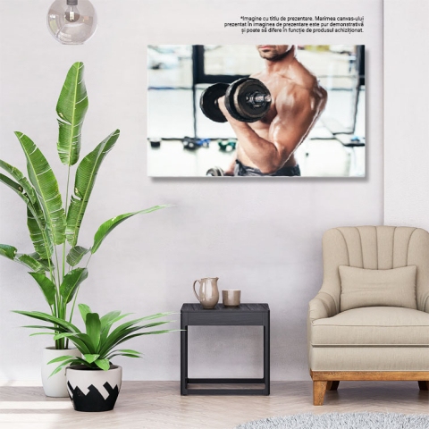 Tablou Canvas cu Antrenament cu Gantere - Determinare, Barbat, Sala de Sport 40x25CM [2]