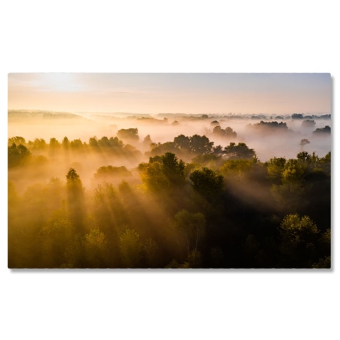 Apus și Răsări - Tablou canvas cu apus, raze de lumina, padure, ceata, natura, multicolor 40x25CM