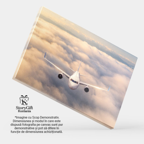 Tablou canvas cu avion, cer, nori, munti, calatorie, zbor, multicolor 40x25CM [3]