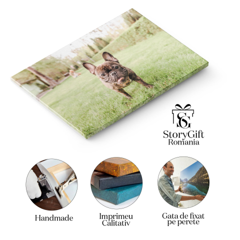 Tablou canvas cu caine, bulldog francez, ham, copaci, gazon, natura, multicolor 40x25CM [1]