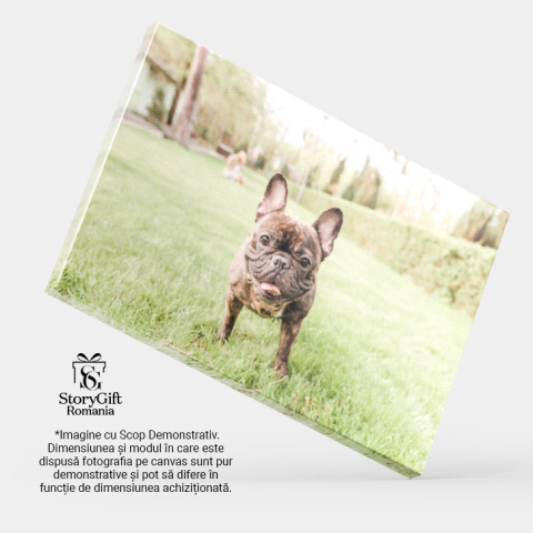 Tablou canvas cu caine, bulldog francez, ham, copaci, gazon, natura, multicolor 40x25CM [3]