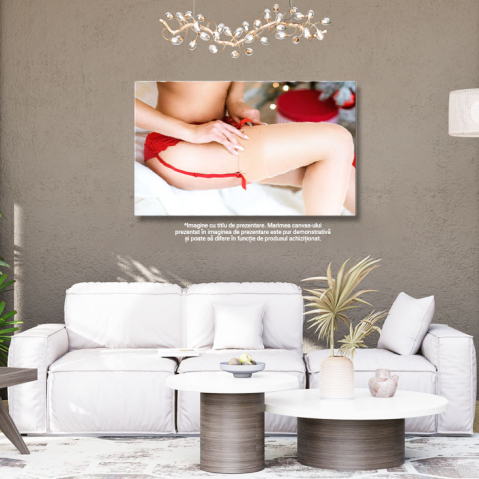 Tablou canvas cu ciorapi, femeie, portjartiera, lenjerie, multicolor 40x25CM [2]