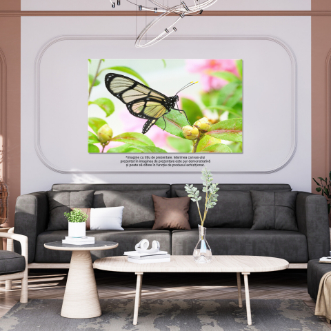 Insecta Colorată pe Frunză - Detalii Fascinante din Lumea Micilor Creații, Marime 40x25CM [2]