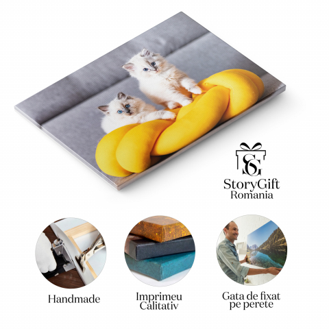 Kitten Ragdoll în Repous - Pisoi de Rasă Pură cu Privire Dulce, Marime 40x25CM [1]